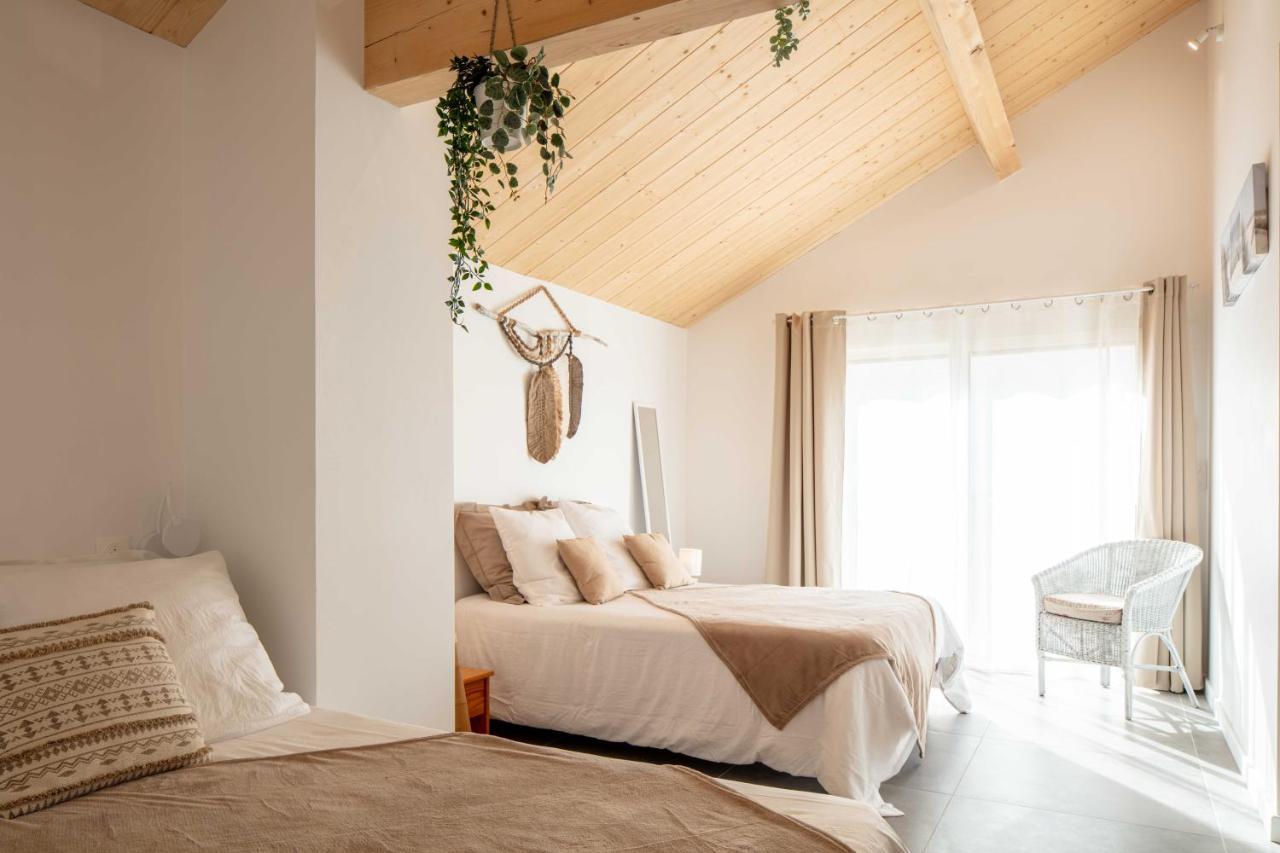 Ted Surf House Bed & Breakfast Capbreton Dış mekan fotoğraf