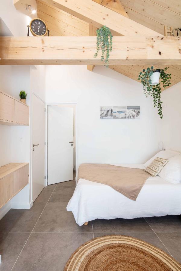 Ted Surf House Bed & Breakfast Capbreton Dış mekan fotoğraf